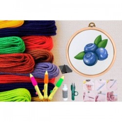 Punch Seti Nakış Seti Kasnaklı Kendin Yap Seti Seri 148