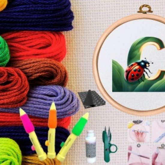 Punch Seti Nakış Seti Kasnaklı Kendin Yap Seti Seri 61