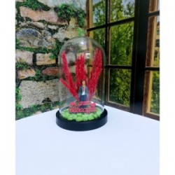 Fanus Teraryum Babaya Hediye Canım Babacım Yazılı Takım Elbiseli Baba Teraryum