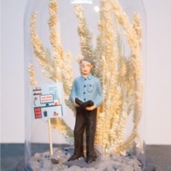 Teraryum Fanus Yeni İş Hediyesi Erkek İş Tebrik Temalı