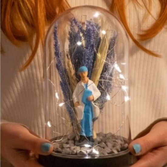 Teraryum Fanus Erkek Doktor İş Hediyesi Işıklı