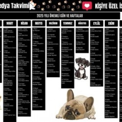 2025 Kişiye Özel Sosyal Medya Takvimi - Özel Günlerle Dolu Eğlenceli Duvar Afişi Köpekli