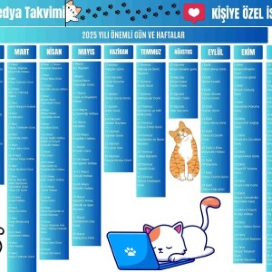 2025 Kişiye Özel Sosyal Medya Takvimi - Özel Günlerle Dolu Eğlenceli Duvar Afişi Kedi Mavi