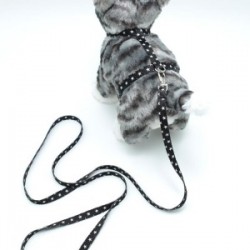 Kedi Yıldızlı Göğüs Tasması Ve Gezdirme Seti Ps9649