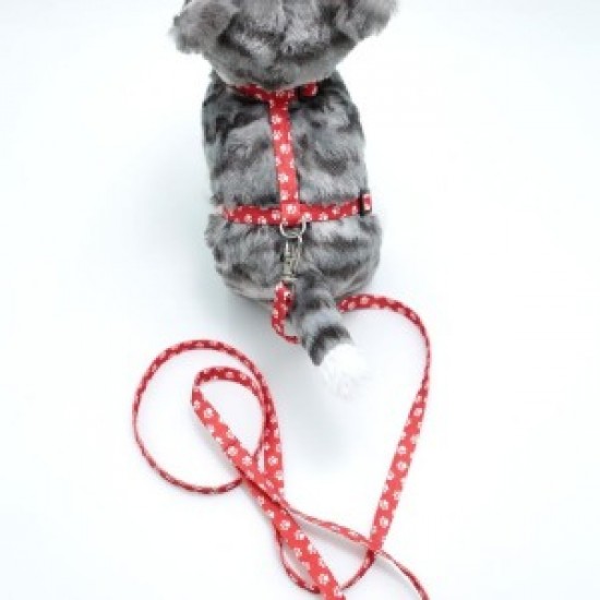 Kedi Patili Göğüs Tasması Ve Gezdirme Seti Ps9647