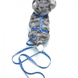 Kedi Patili Göğüs Tasması Ve Gezdirme Seti Ps9646