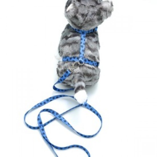 Kedi Patili Göğüs Tasması Ve Gezdirme Seti Ps9646