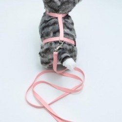 Kedi Düz Göğüs Tasması Ve Gezdirme Seti Ps9642 Kedi Düz Göğüs Tasması Ve Gezdirme Seti Ps9642