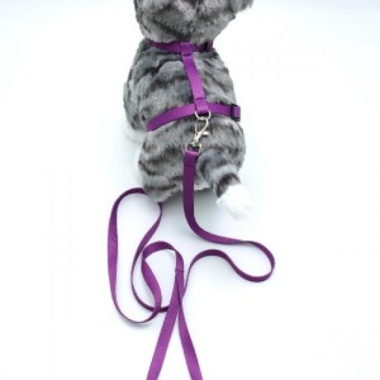 Kedi Düz Göğüs Tasması Ve Gezdirme Seti Ps9639