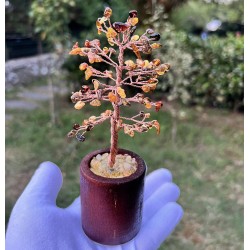 Kehribar Fosilli Ağaç Kehribar Fosilli Ağaç